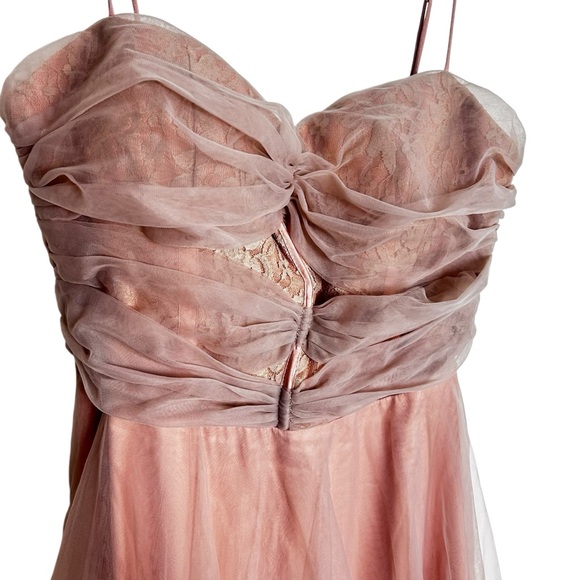 Selfie Leslie SMITTEN LACE INSERT TULLE MIDI DRESS BLUSH NEW! SZXL - Picture 3 of 15